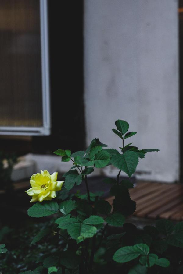 Viva La Vida - Jongno Hanok Private House 首爾 外观 照片